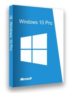 Windows 10 Pro x64 22H2 En-Us June 2024 Team-LiL torrent